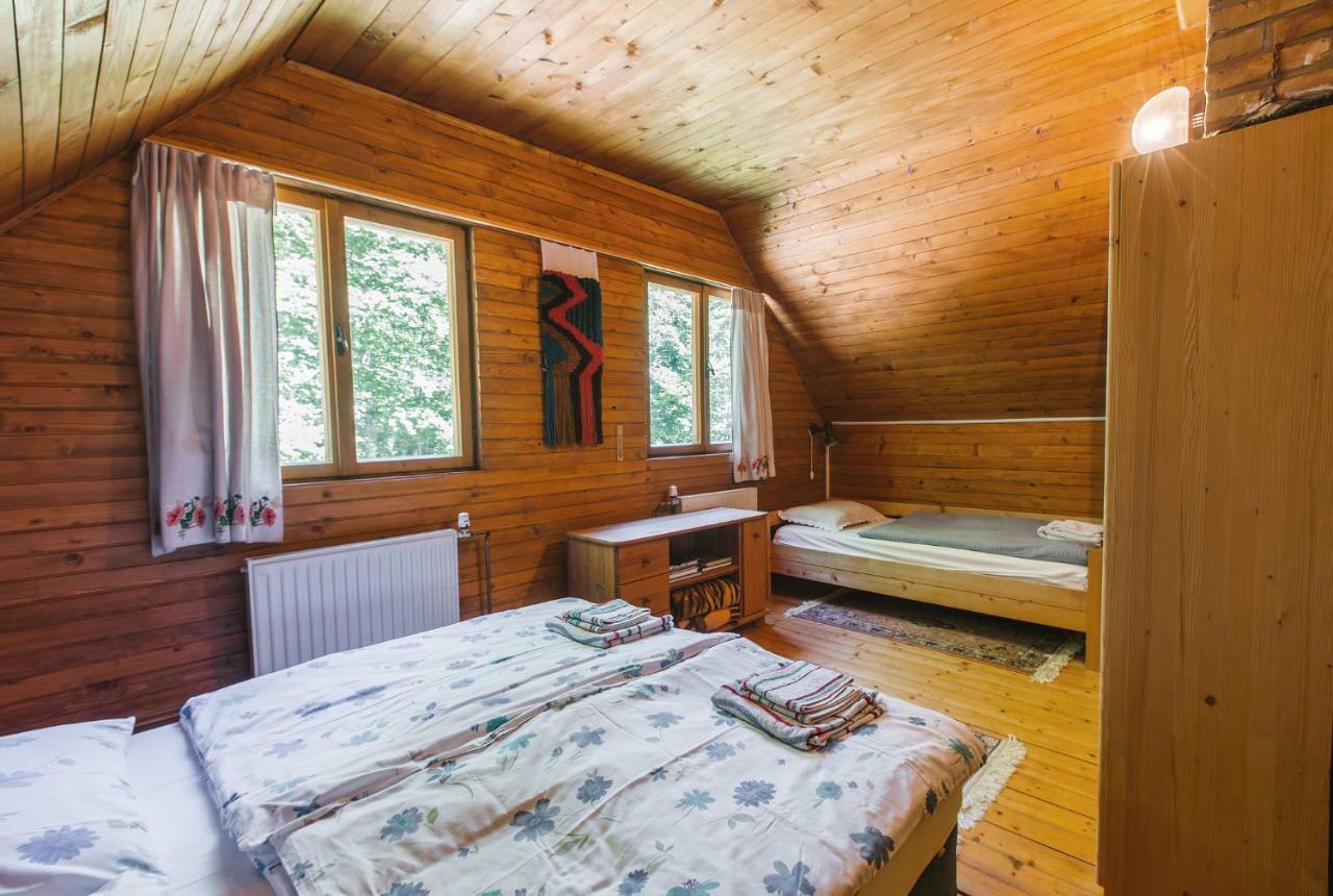 Pocitniska Hisa Radovna Villa Zgornja Radovna Eksteriør billede